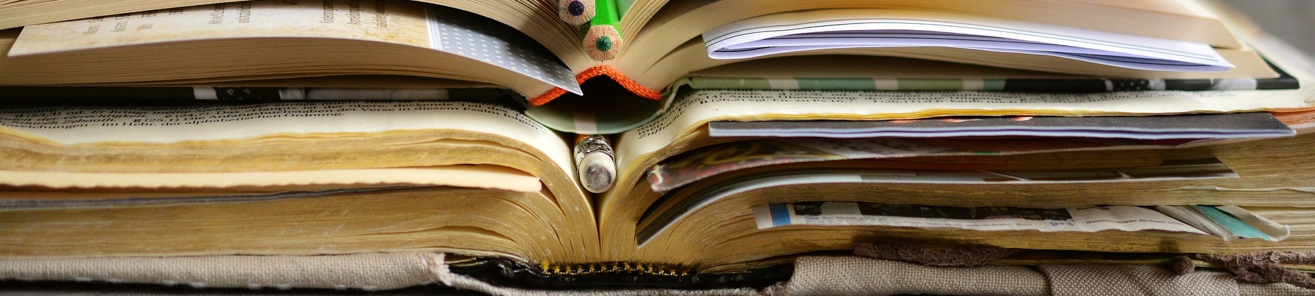 Formazione-e-studi